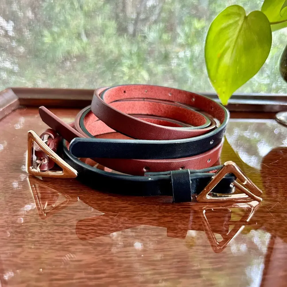 Set of 2 Skinny Belts – Brown & Black with Gold Triangle Buckles – 43” Length